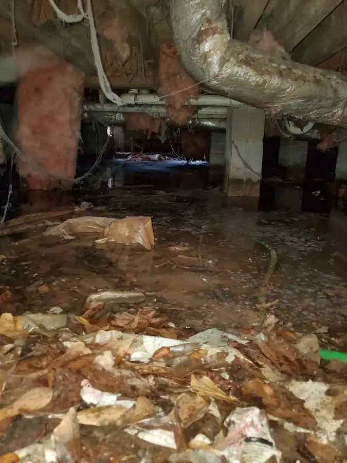 Crawl space flood assessment for Leak Detection & Repair in Nacogdoches